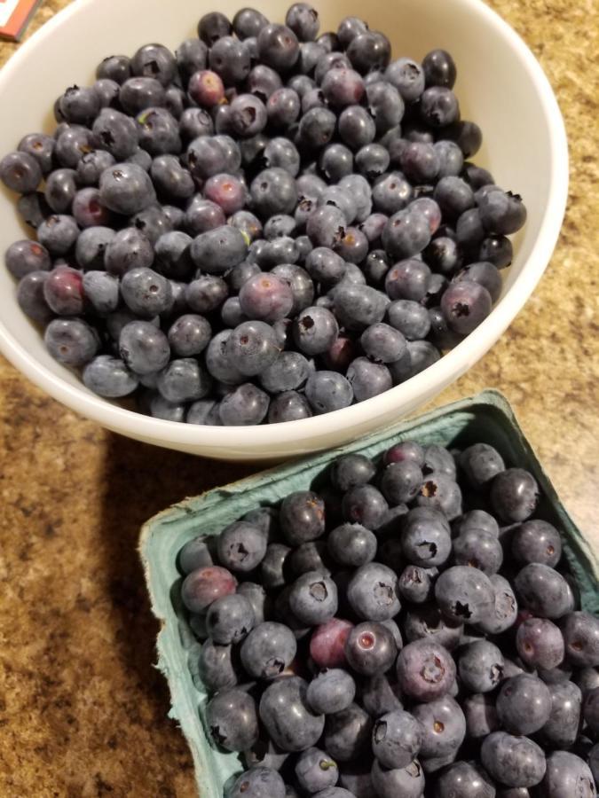 Blueberry Fields Bed & Breakfast Jefferson Extérieur photo